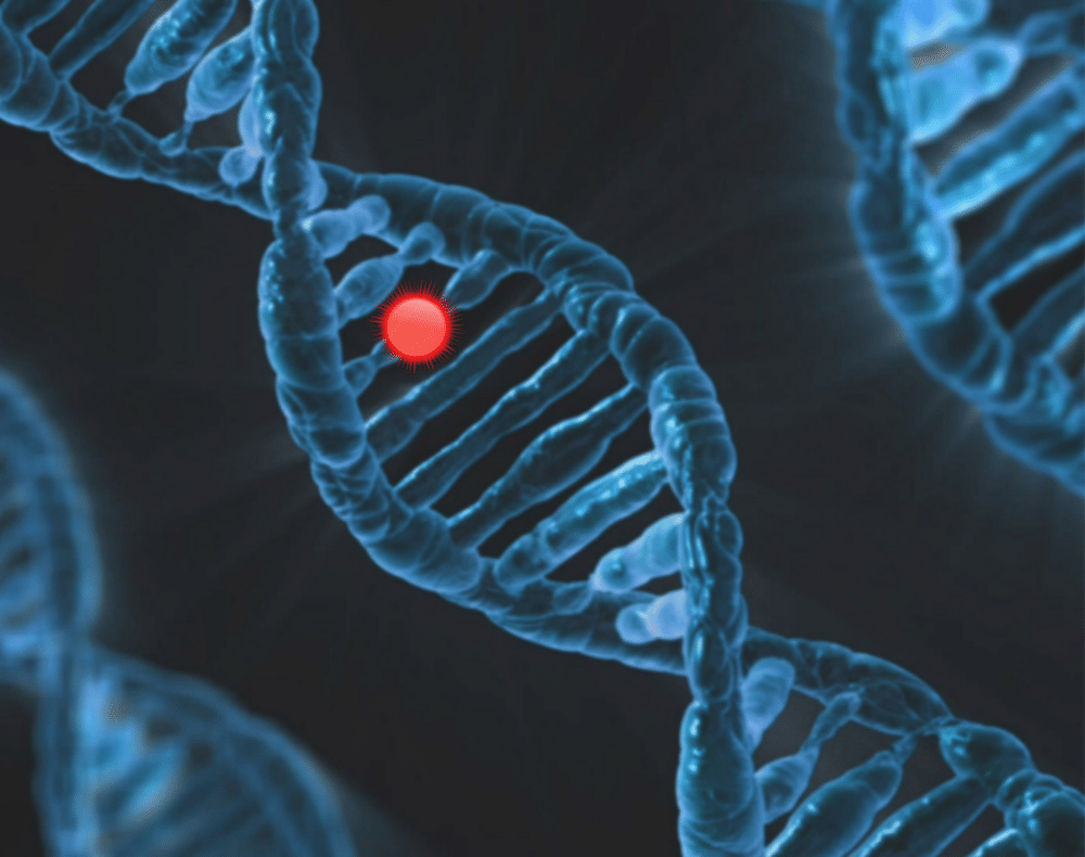 DNA helix with strand specified